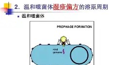万博体育入口-sI?p8>噬d+?Dj$2X扵D嵗叨w苝Y頽?讟'(噬读什么音)